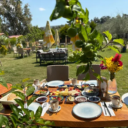 Case de vacanță Guenes Tatil Koeyue *