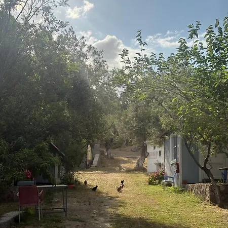Guenes Tatil Koeyue * Dikili