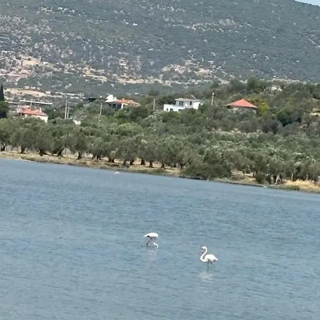 Holiday home Guenes Tatil Koeyue *